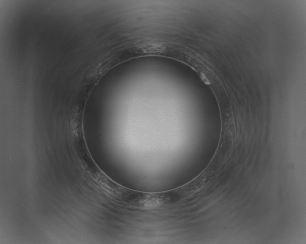 X0000073900604200608251459