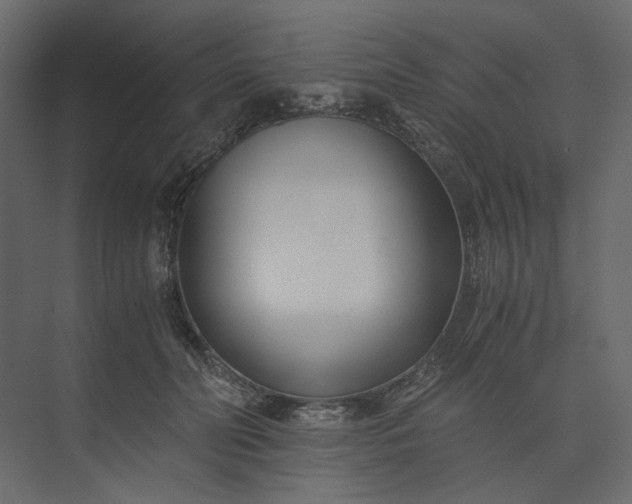 X0000073900606200608251459