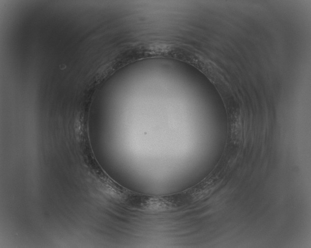 X0000073900608200608251459