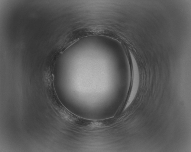 X0000073900609200608251459