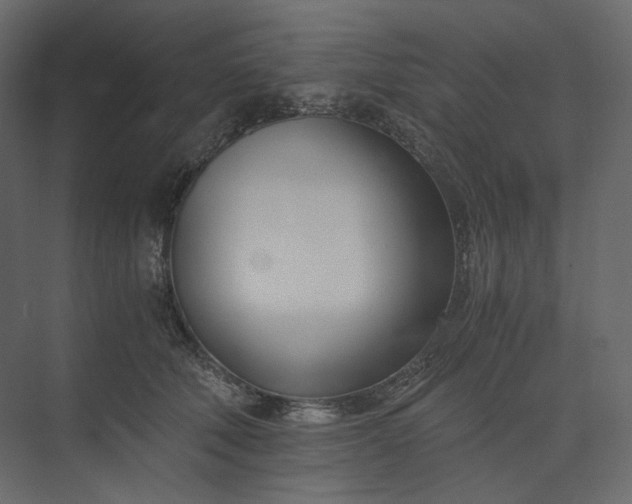 X0000073900610200608251459