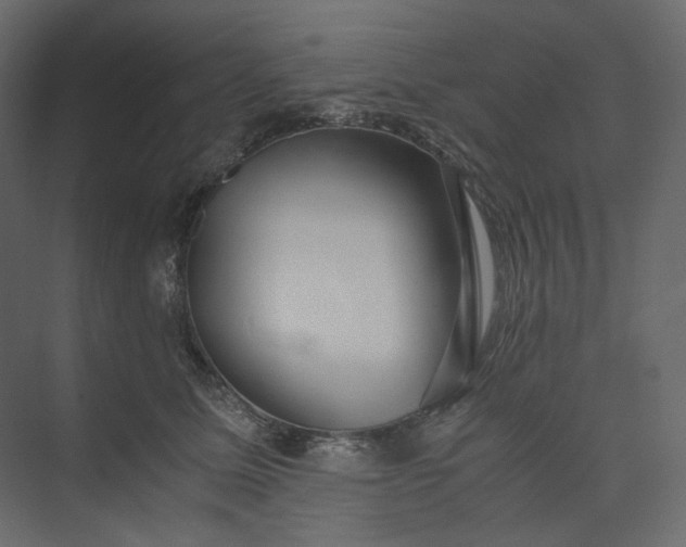 X0000073900611200608251459