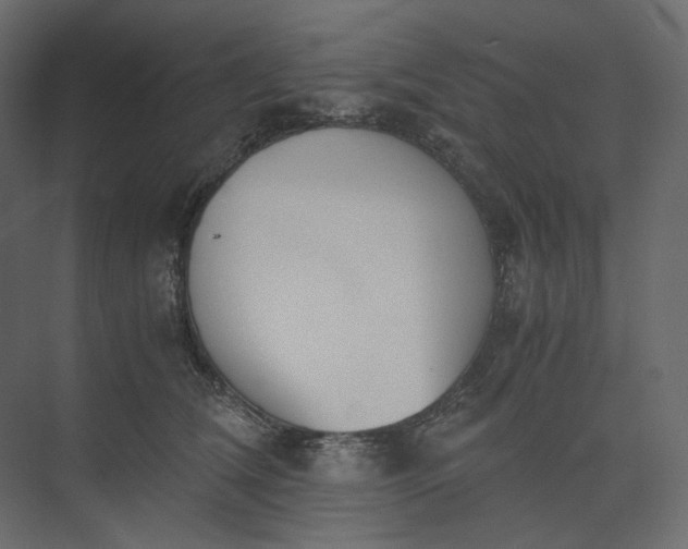 X0000073900612200608251459