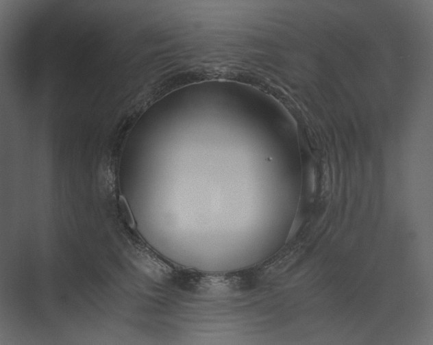 X0000073900613200608251459