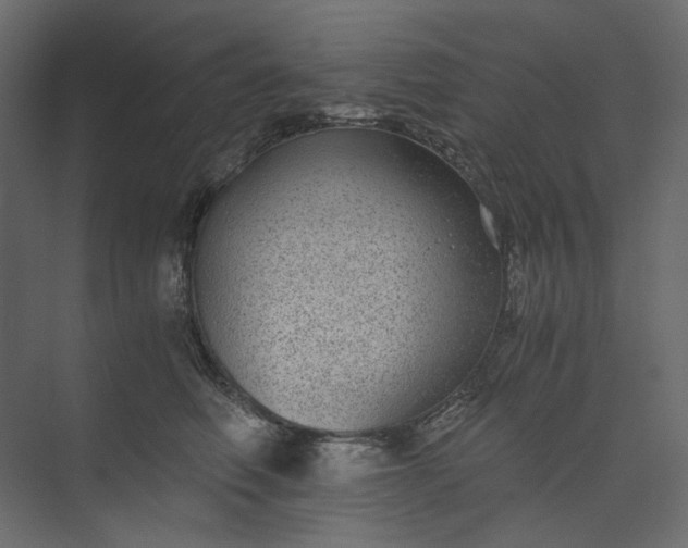 X0000073900614200608251459