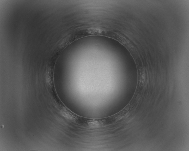 X0000073900616200608251459