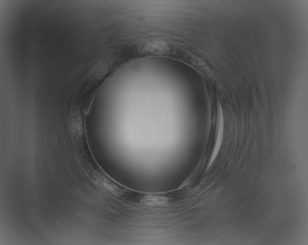 X0000073900617200608251459