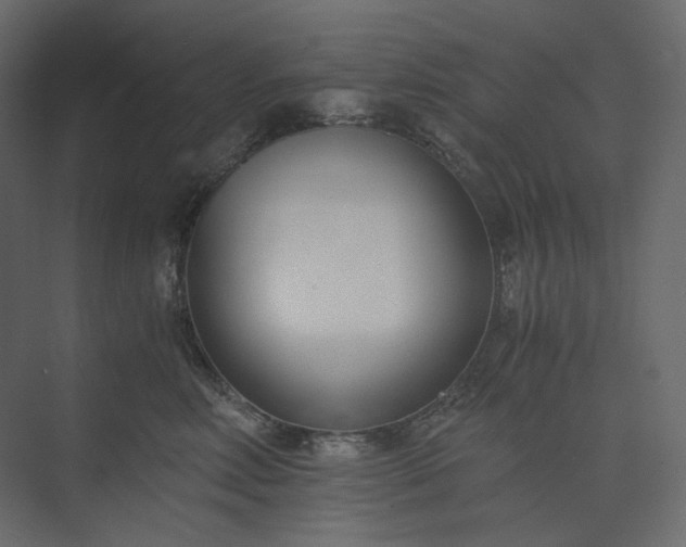 X0000073900618200608251459