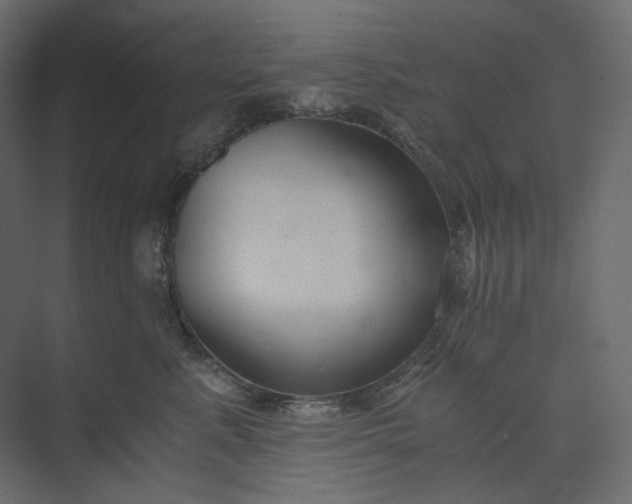 X0000073900619200608251459