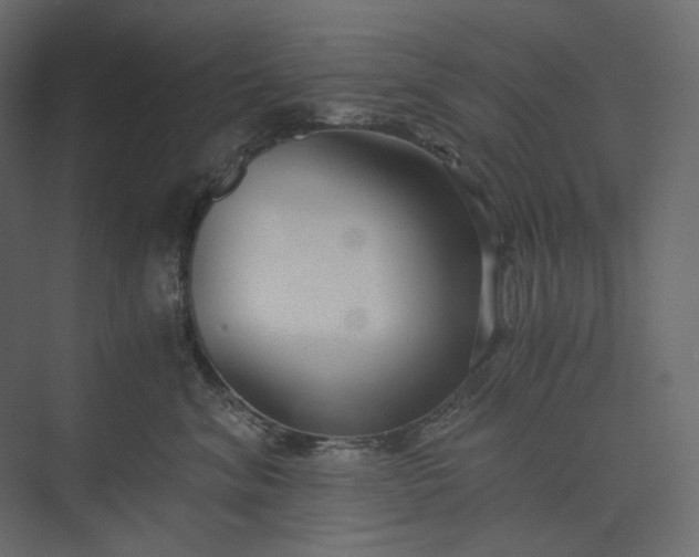 X0000073900620200608251459