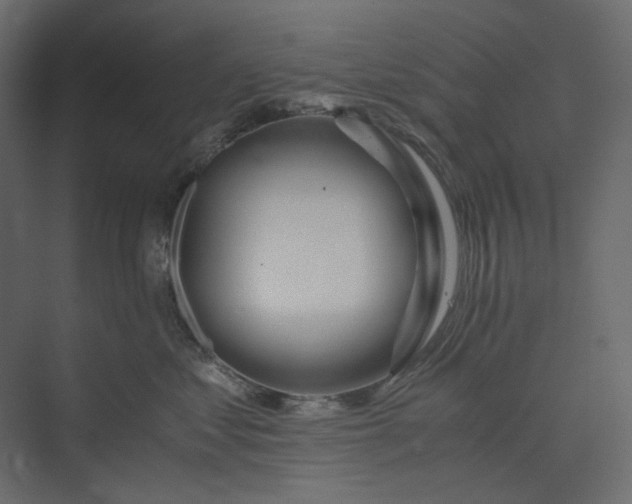 X0000073900621200608251459