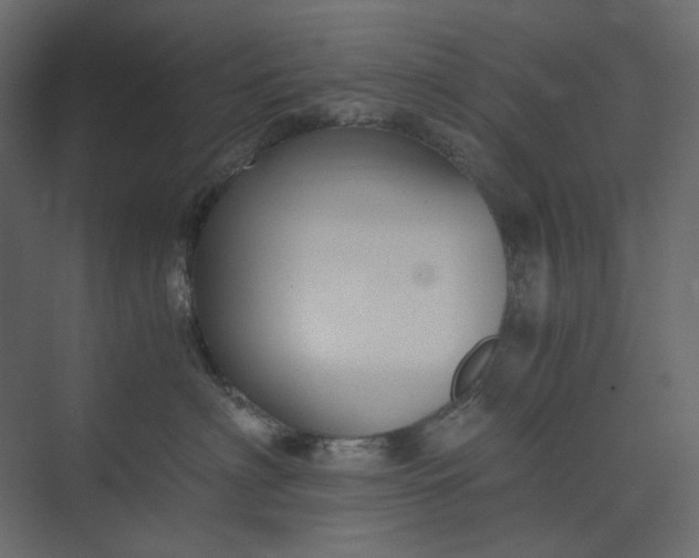 X0000073900622200608251459