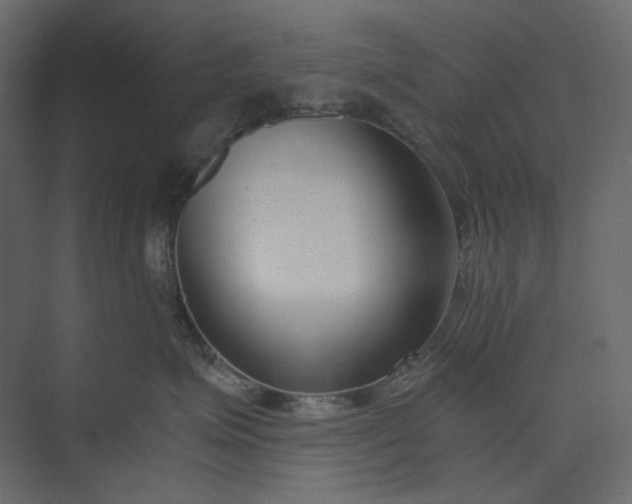 X0000073900623200608251459