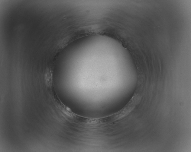 X0000073900624200608251459