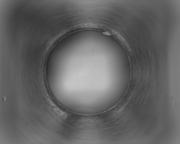 X0000073900625200608251458