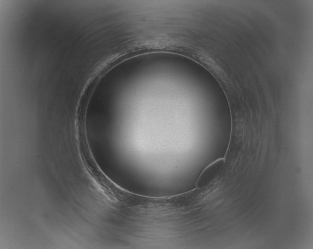 X0000073900626200608251458