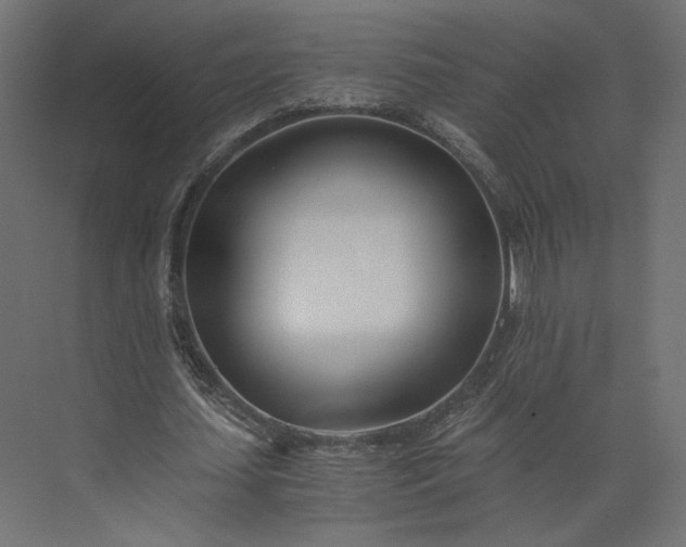 X0000073900627200608251458