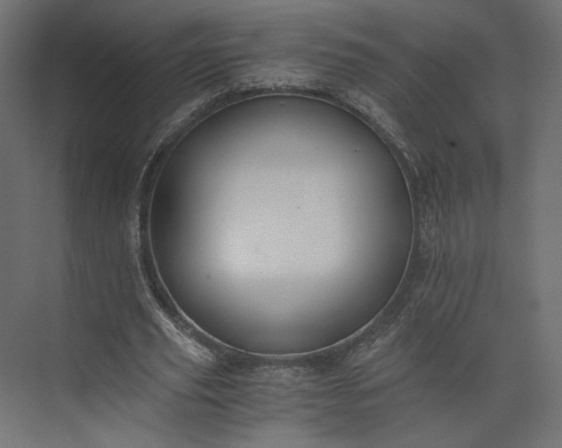 X0000073900629200608251458