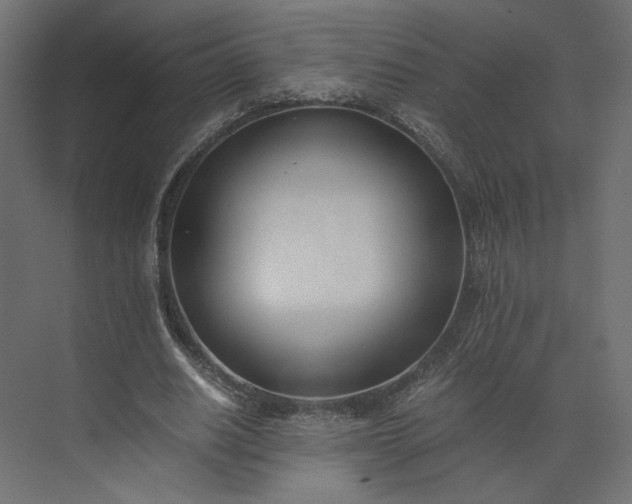 X0000073900630200608251458