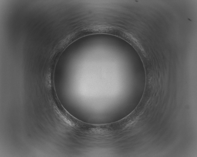 X0000073900633200608251458