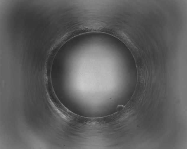 X0000073900634200608251458