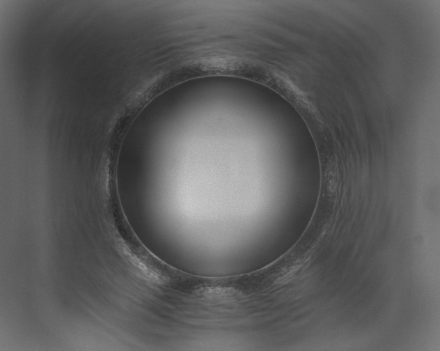 X0000073900637200608251458