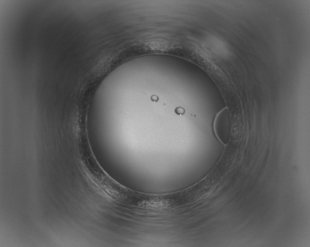 X0000073900639200608251458