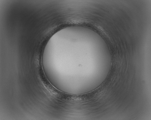 X0000073900640200608251458