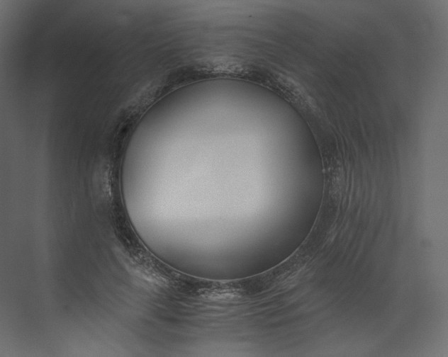 X0000073900643200608251458