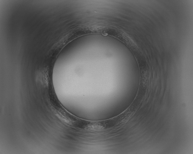 X0000073900644200608251458