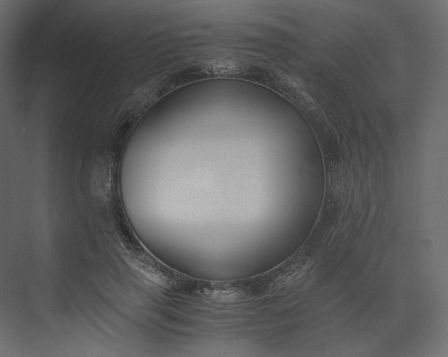 X0000073900645200608251458