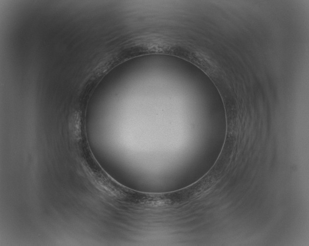 X0000073900646200608251458