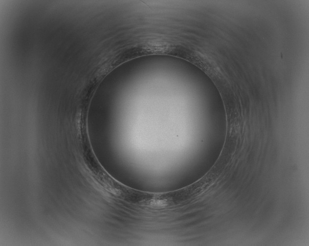 X0000073900647200608251458