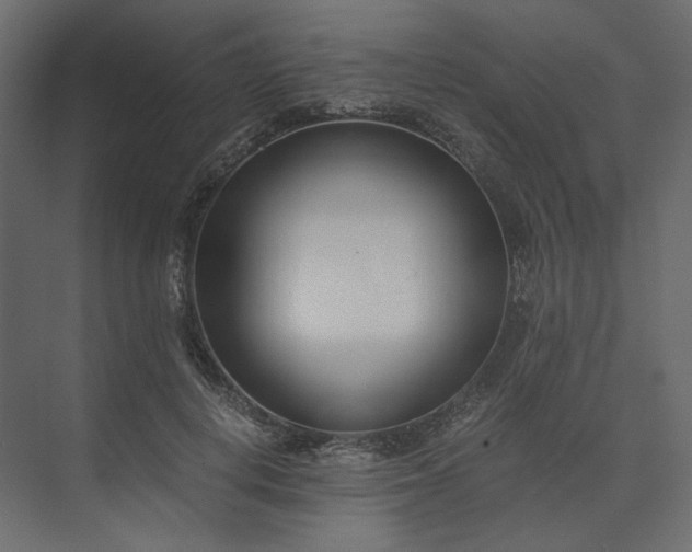 X0000073900648200608251458