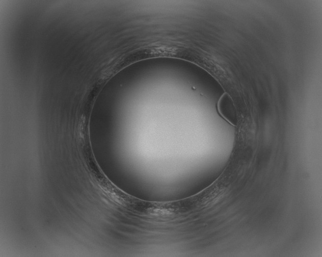 X0000073900649200608251458