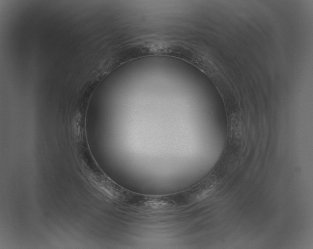 X0000073900650200608251458