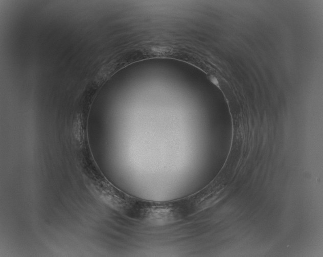 X0000073900651200608251458