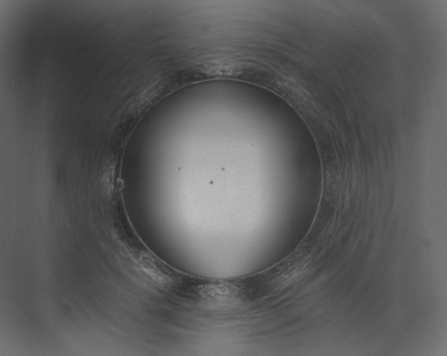 X0000073900652200608251458