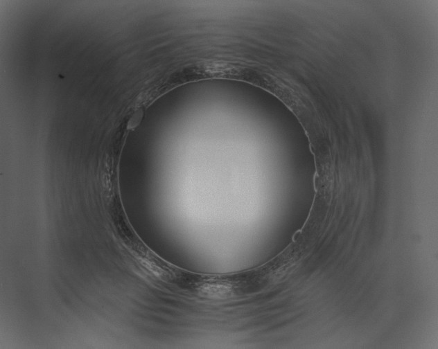 X0000073900653200608251458