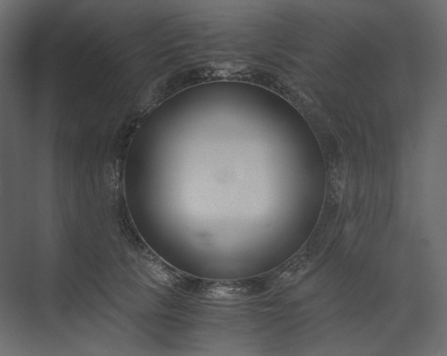 X0000073900657200608251458