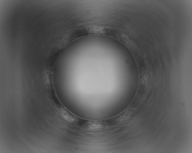 X0000073900658200608251458