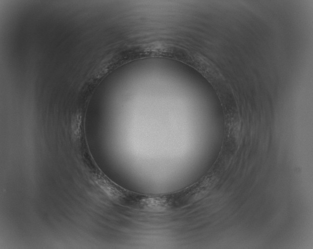 X0000073900660200608251458