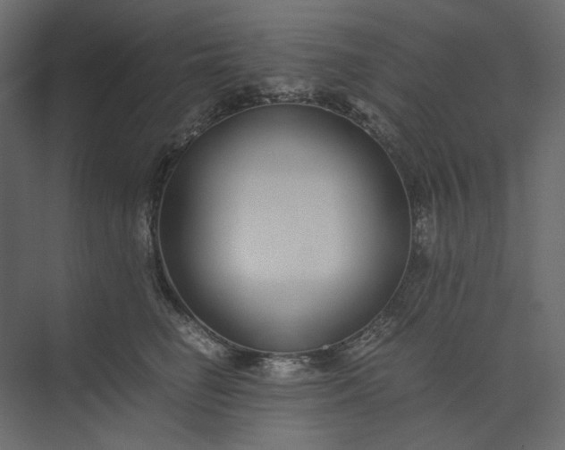 X0000073900662200608251458