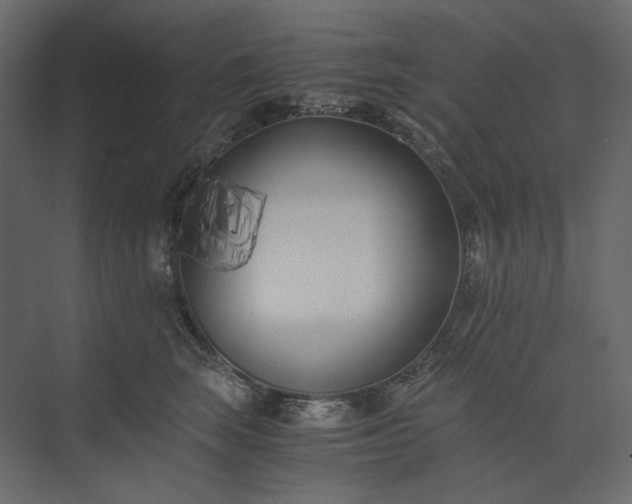 X0000073900663200608251459