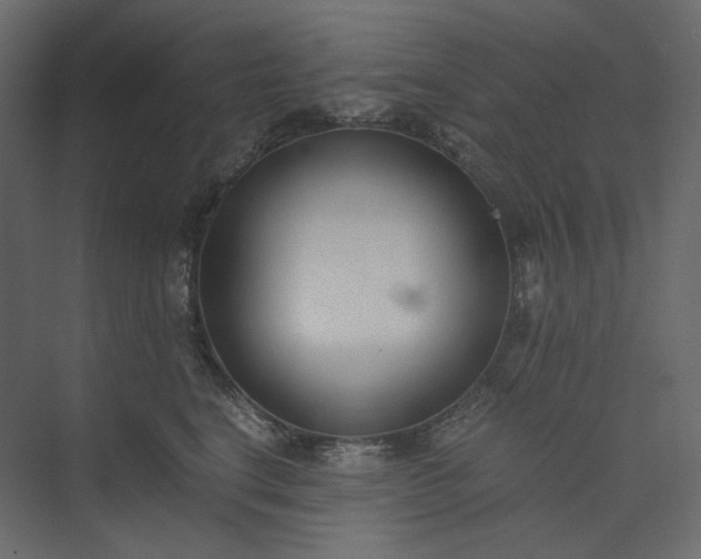 X0000073900664200608251459