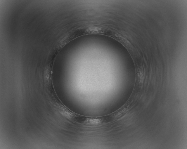 X0000073900665200608251459