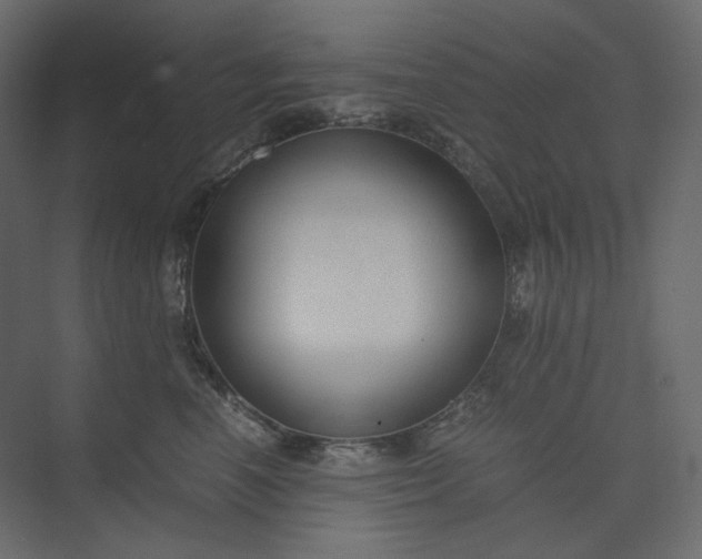 X0000073900666200608251459