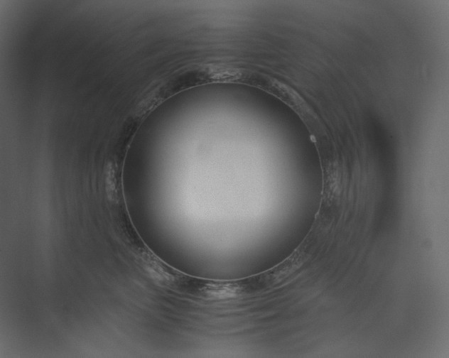 X0000073900667200608251459