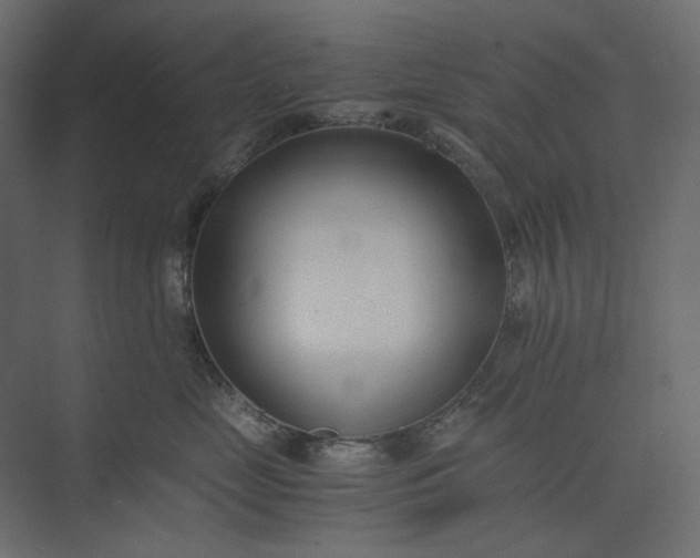 X0000073900669200608251459