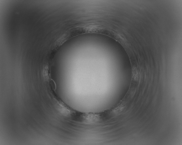 X0000073900670200608251459